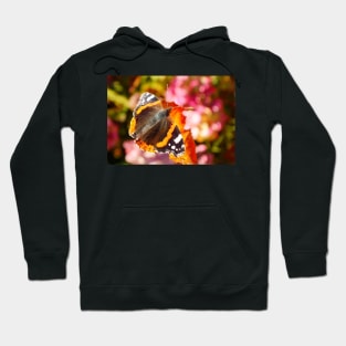 Red Admiral Butterfly Hoodie